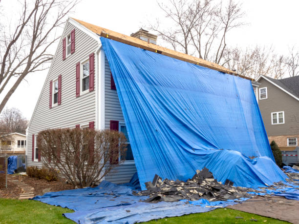 Shed Removal in Albertville, AL